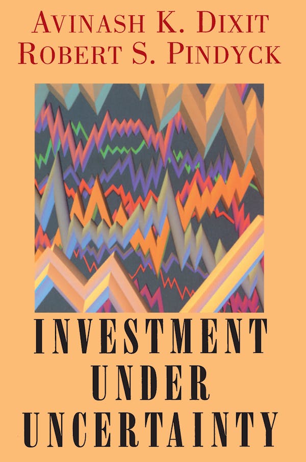 Investment under Uncertainty Princeton University Press