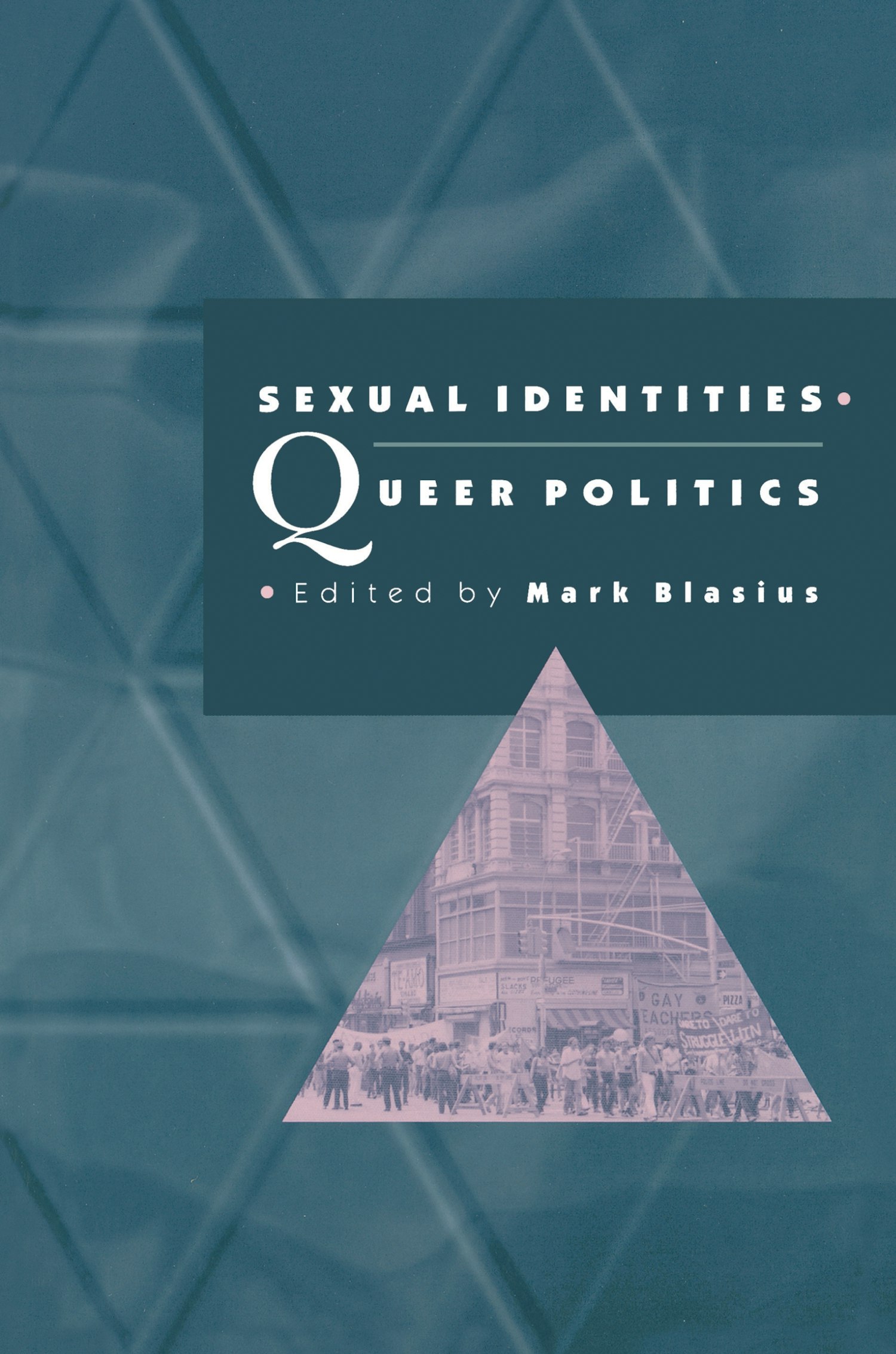 Sexual Identities Queer Politics Princeton University Press 