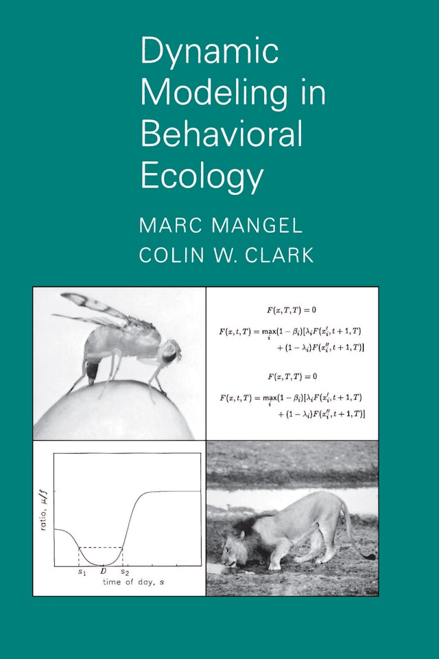 Dynamic Modeling in Behavioral Ecology