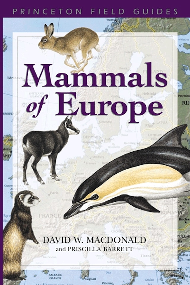 Mammals of Europe
