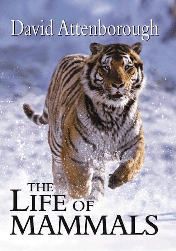 The Life of Mammals | Princeton University Press