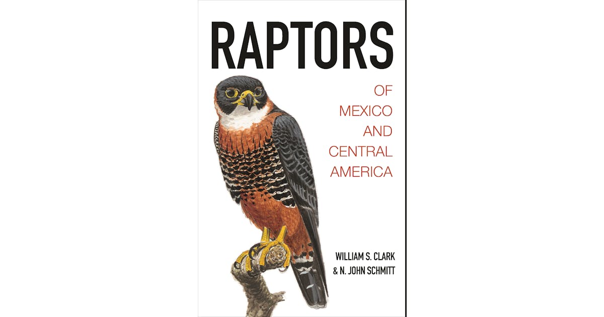 Raptors of Mexico and Central America | Princeton University Press