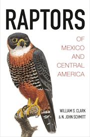 Raptors of Mexico and Central America