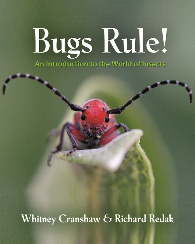Bugs Rule!
