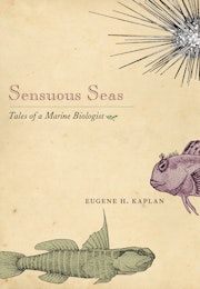 Sensuous Seas