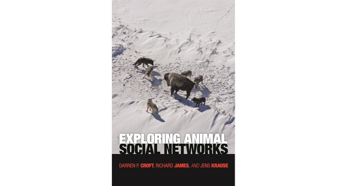 Exploring Animal Social Networks | Princeton University Press