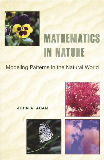 essay about beauty of mathematics in nature