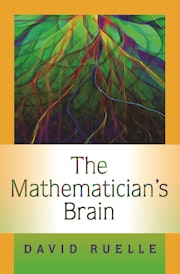 The Mathematician's Brain