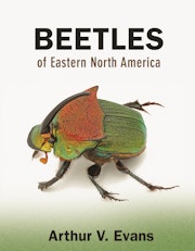 Beetles of Eastern North America
