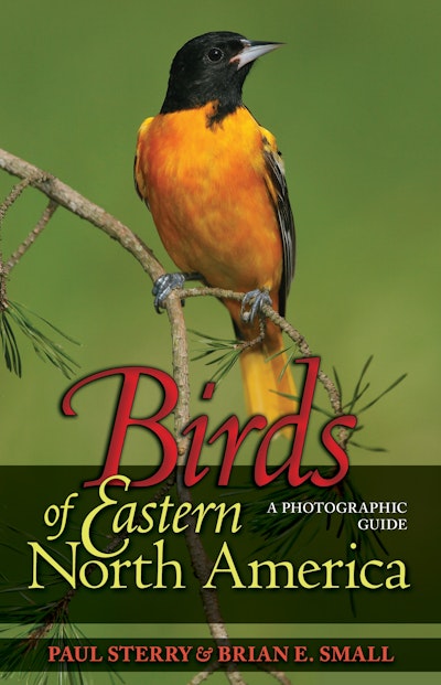 Birds of Eastern North America | Princeton University Press