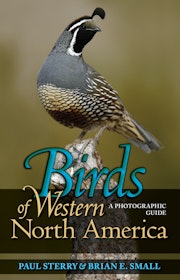 Birds of Western North America