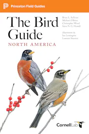 The Bird Guide: North America
