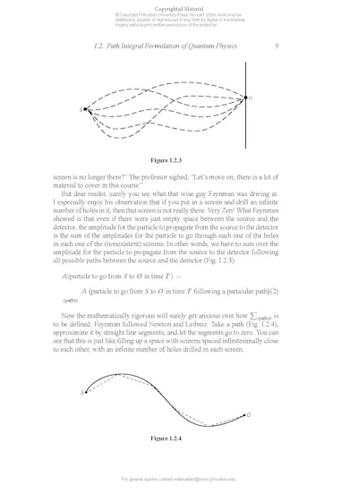 QUANTUM FIELD THEORY IN A NUTSHELL SECOND EDITION visual data 2
