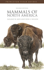 Mammals of North America