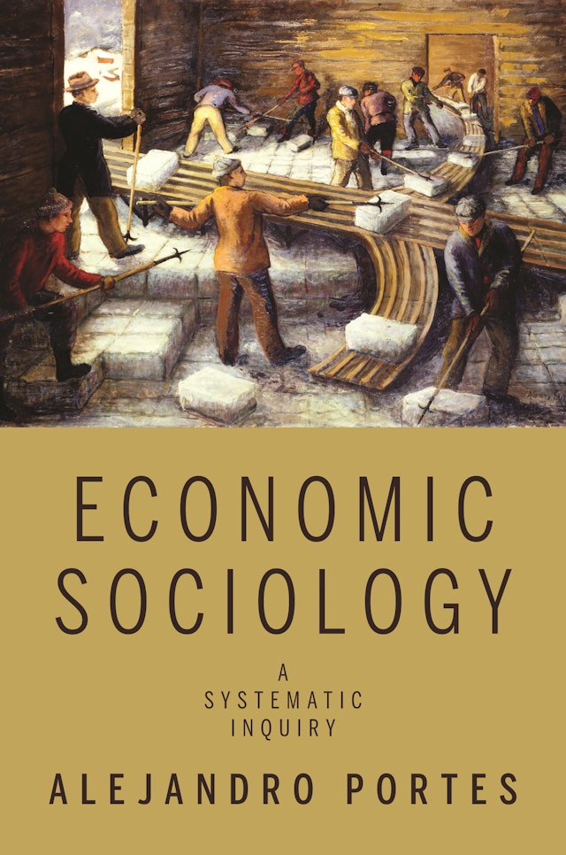 economic sociology case study