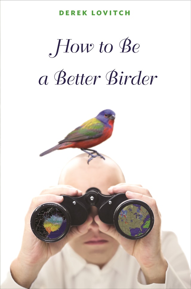 How to Be a Better Birder