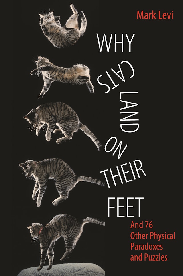 Why Cats Land on Their Feet