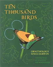 Ten Thousand Birds