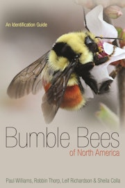 Bumble Bees of North America