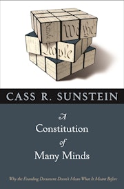 A Constitution of Many Minds