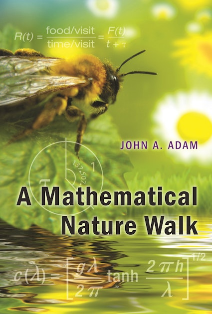 indhold sy med tiden A Mathematical Nature Walk | Princeton University Press