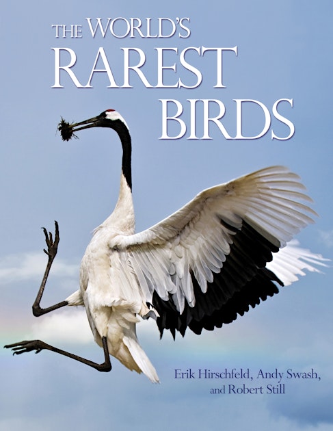 Verity: Special Edition – Rare Birds Books