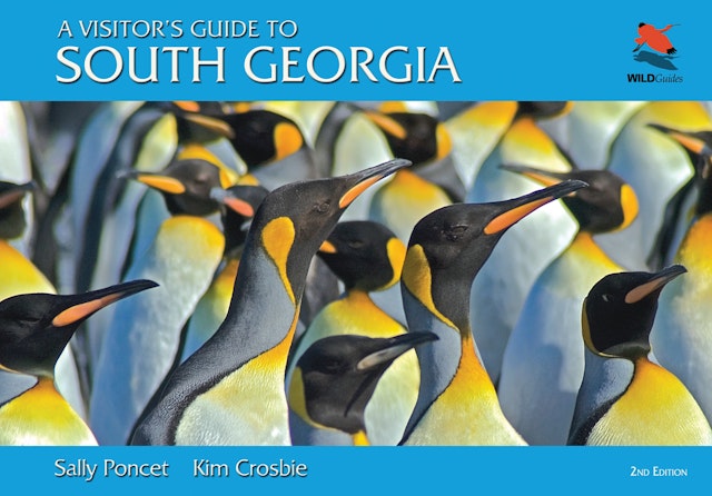 A Visitor's Guide to South Georgia