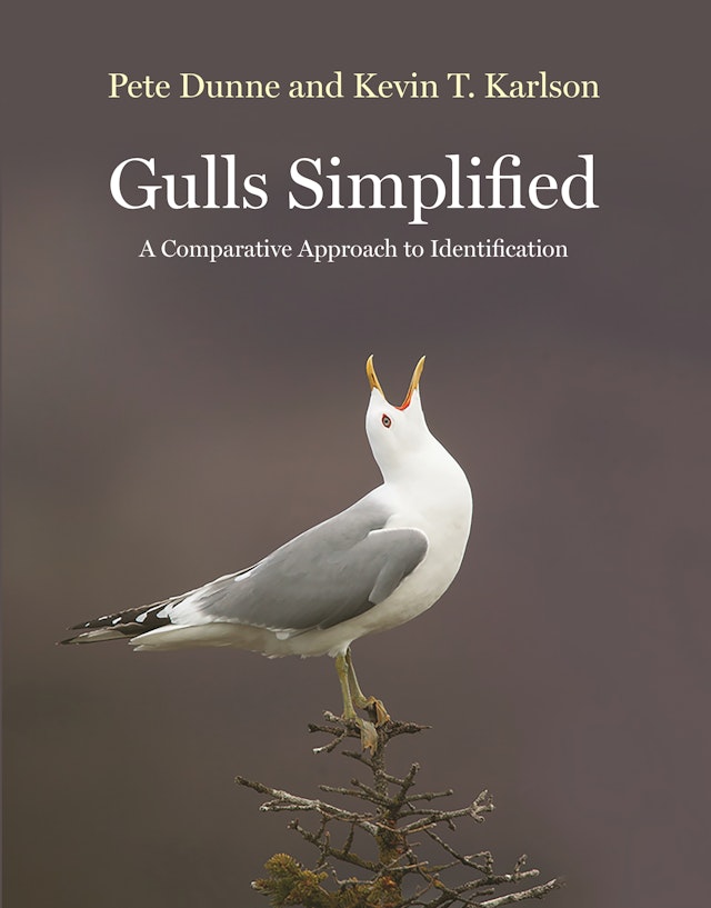 Gulls Simplified