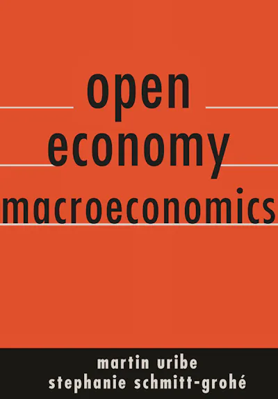Open Economy Macroeconomics
