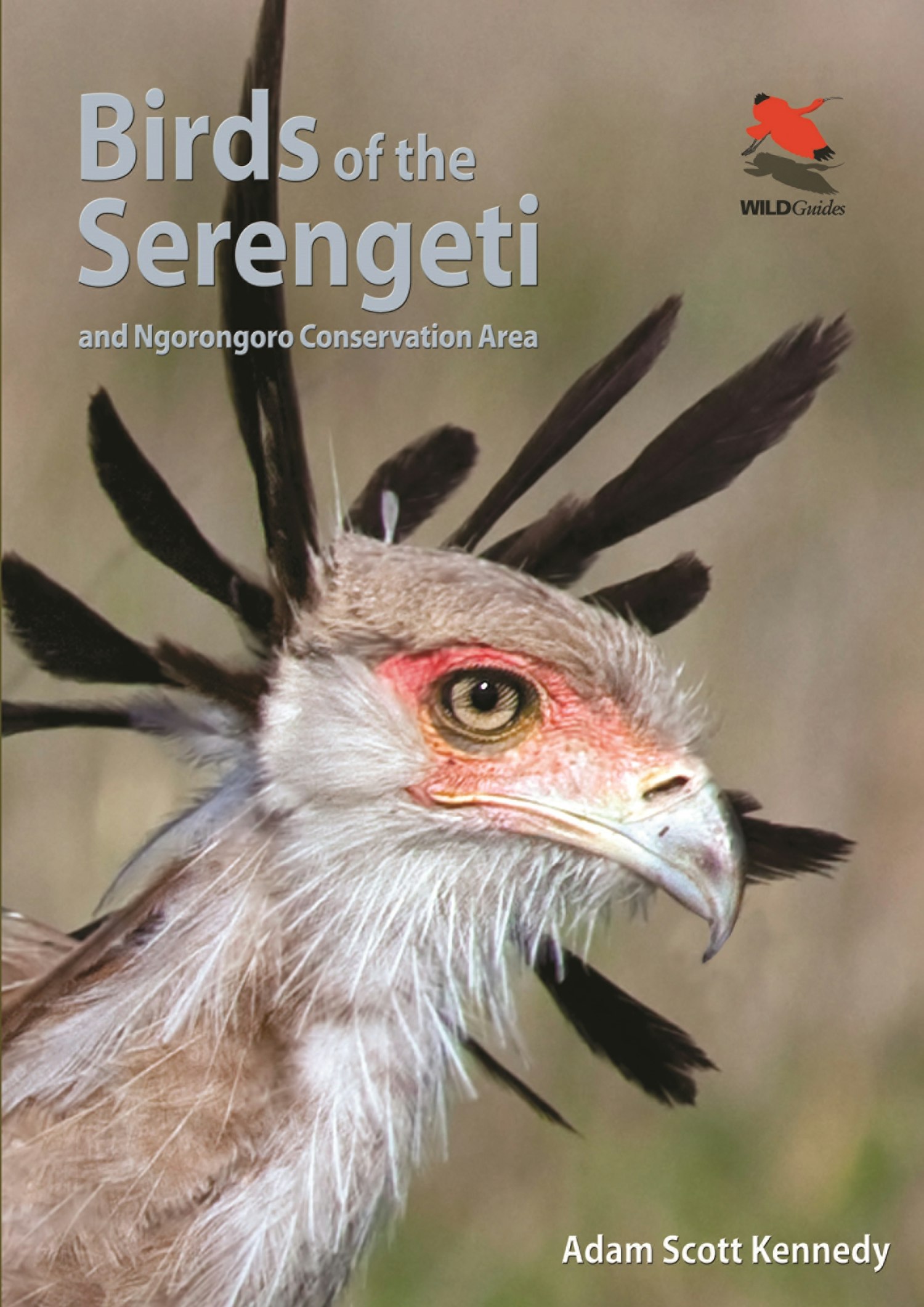 Birds of the Serengeti | Princeton University Press