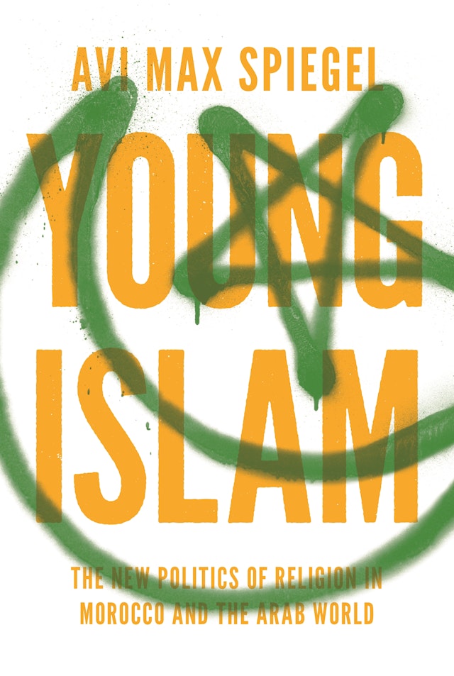 Young Islam Princeton University Press