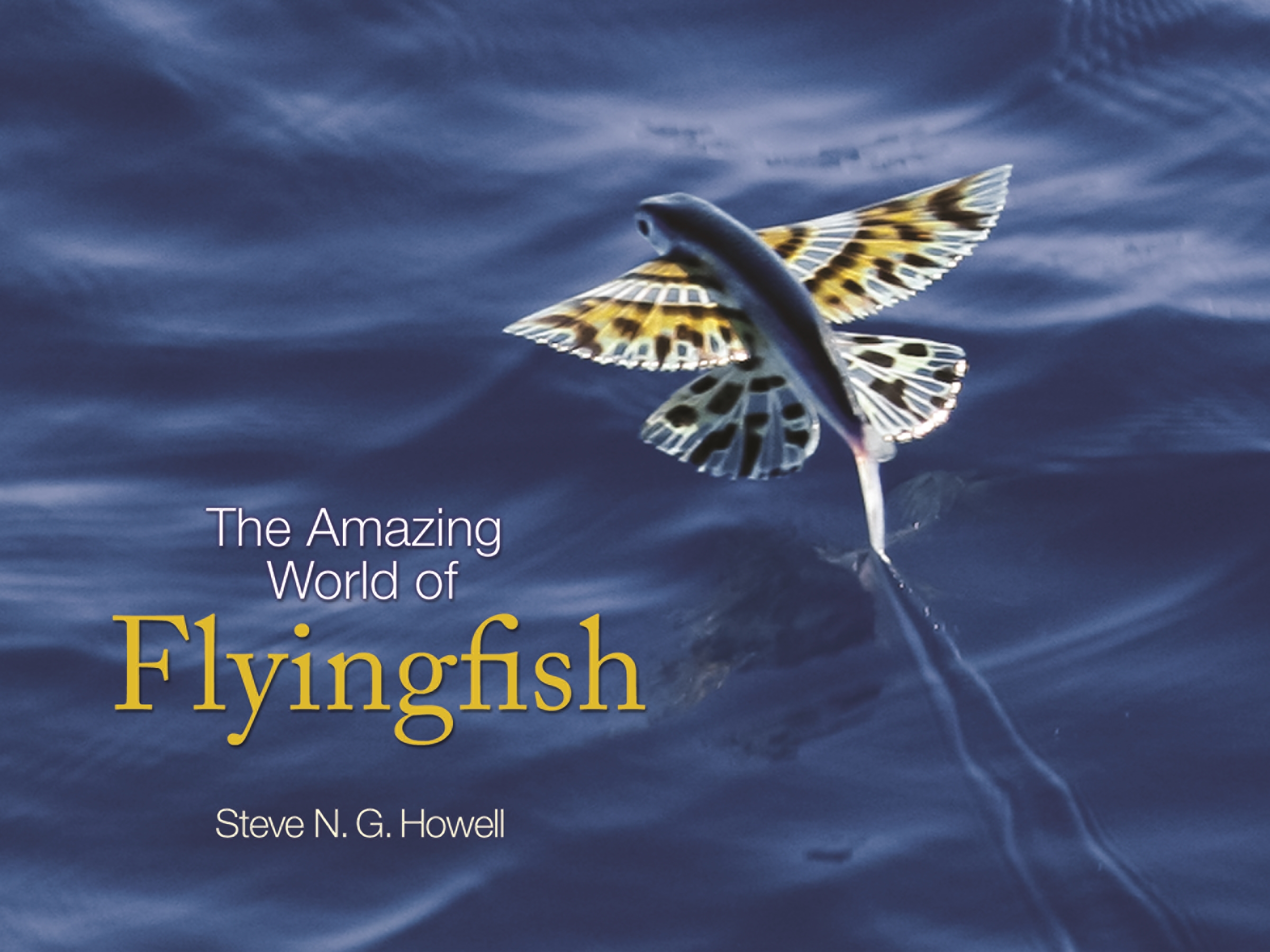 The Amazing World of Flyingfish | Princeton University Press