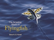 The Amazing World of Flyingfish