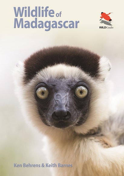 Wild Cam: TWS Members Find What's Eating Lemurs in Madagascar - The  Wildlife Society