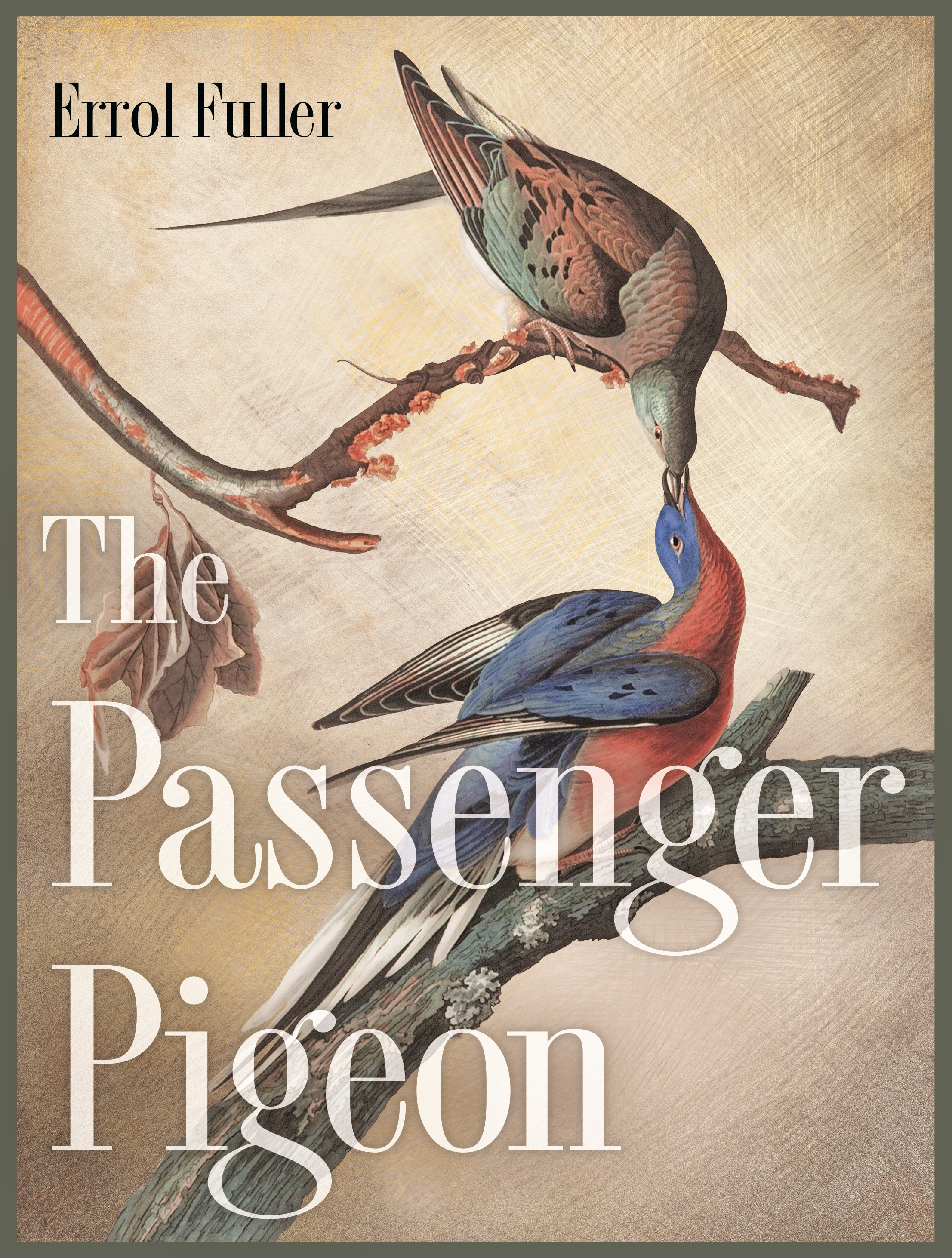 Pigeon　Princeton　University　Press　The　Passenger