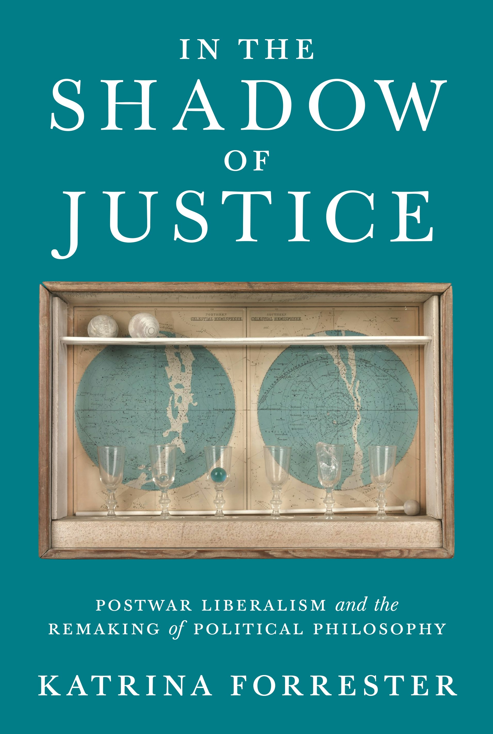 In the Shadow of Justice Princeton University Press