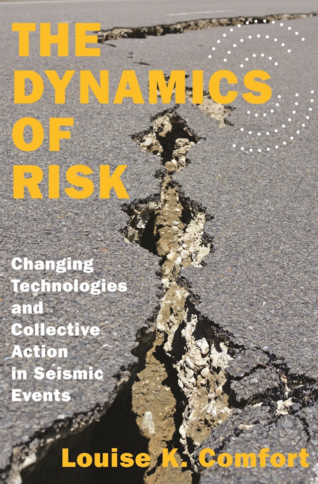 The Dynamics of Risk