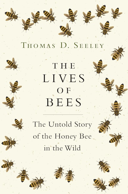 U.S. Top Bar Beekeepers Association