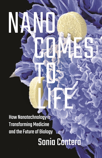 Nano Comes To Life Princeton University Press
