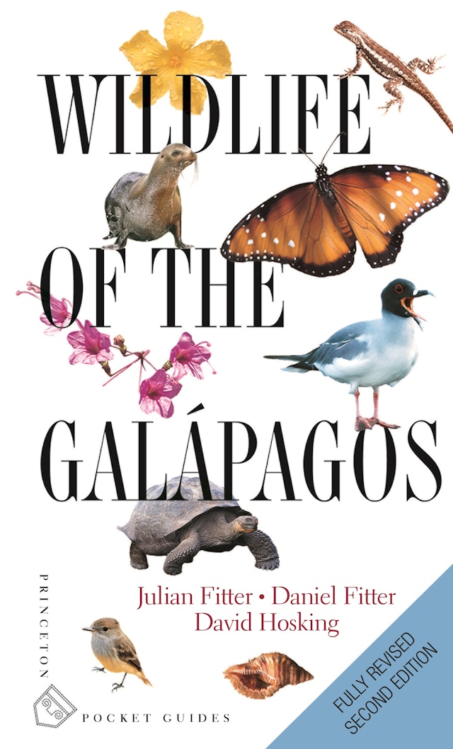 Wildlife of the Galápagos