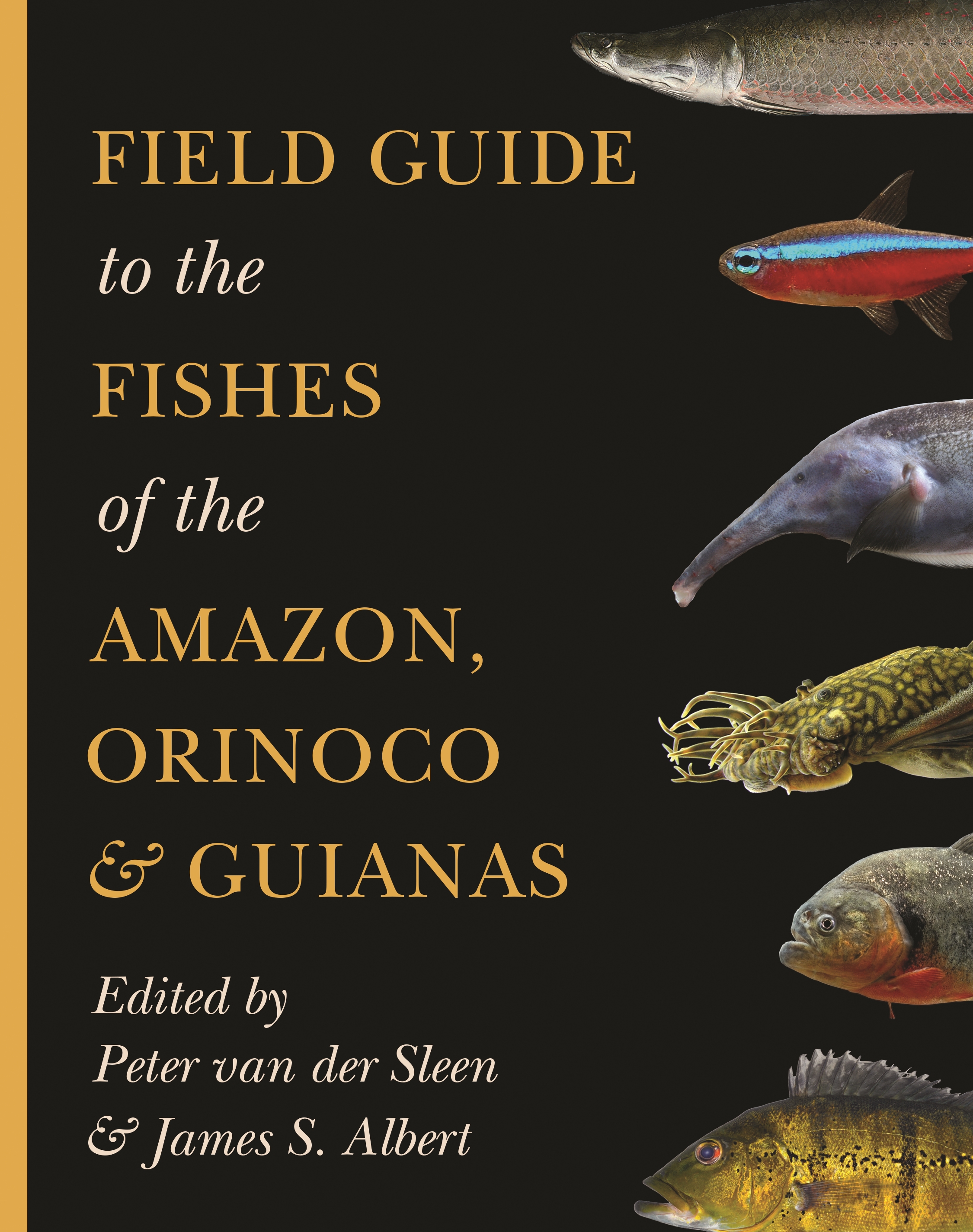 Field Guide to the Fishes of the , Orinoco, and Guianas