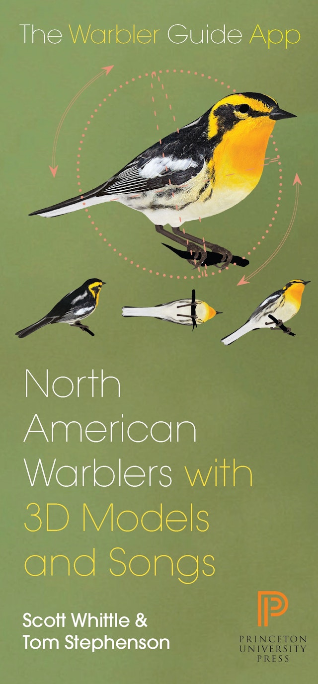 North American Warbler Fold-out Guide