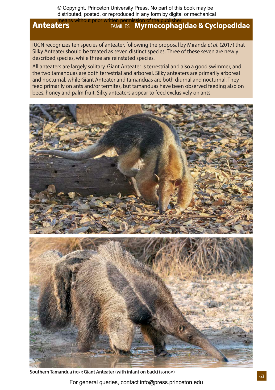 送込★FIELD GUIDE TO THE ANIMALS OF BRITAIN Field Guide to the Animals of Britain (Nature Lover's