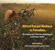 Alfred Russel Wallace in Paradise