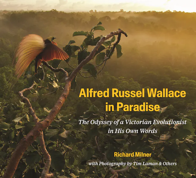 Alfred Russel Wallace in Paradise