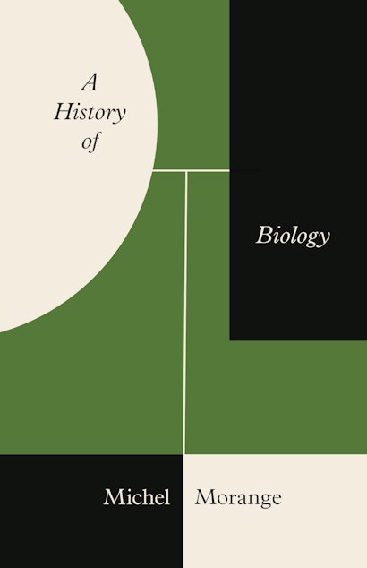 The Ultimates (History): Bio, Origin & History