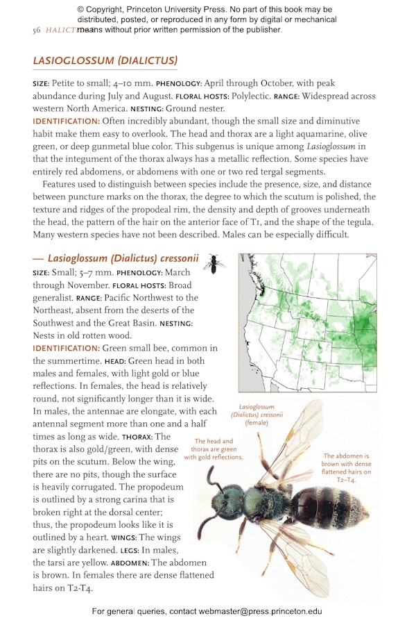 Common Bees of Western North America | Princeton University Press