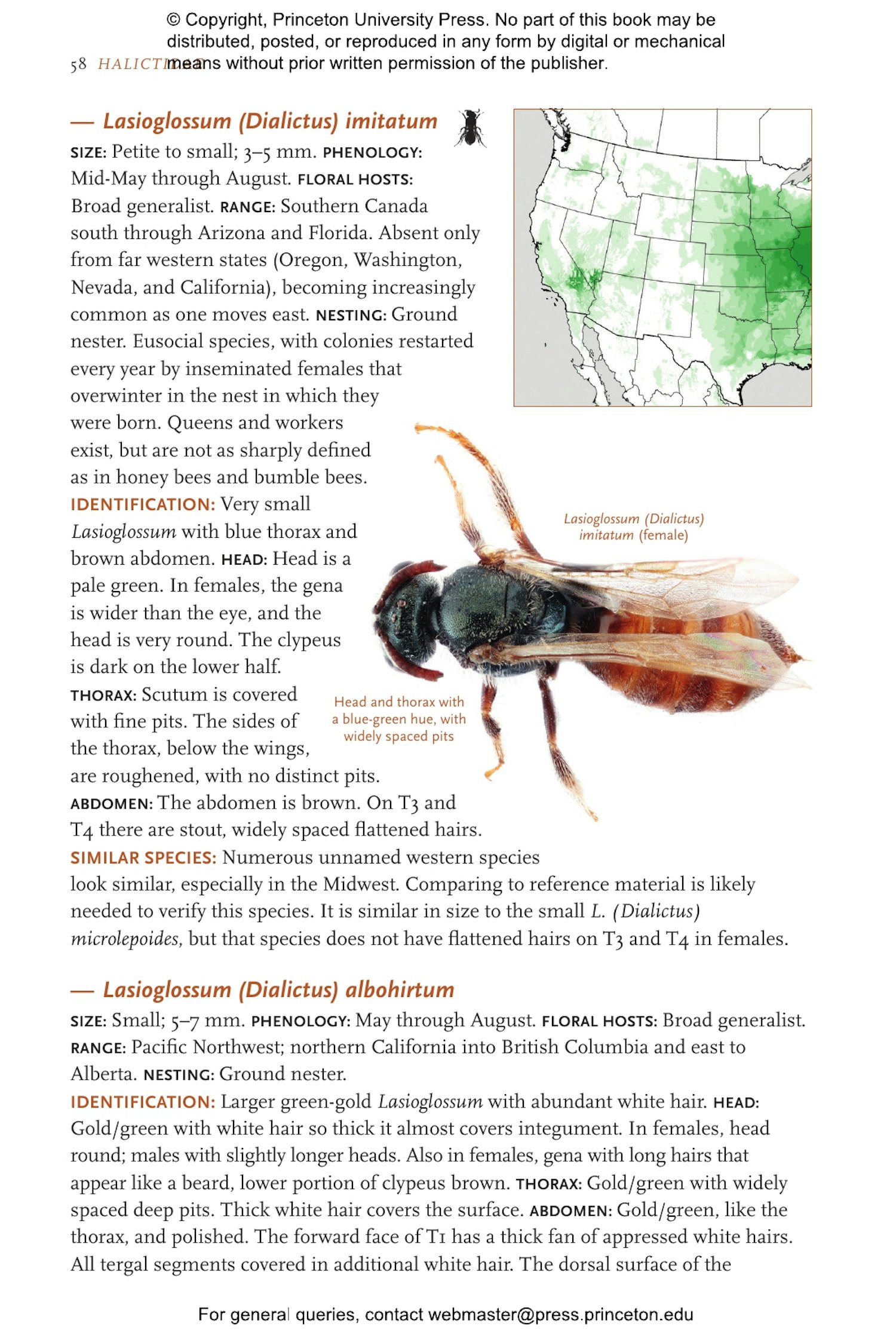 Common Bees of Western North America | Princeton University Press