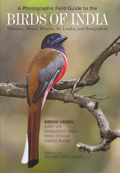 A Photographic Field Guide to the Birds of India, Pakistan, Nepal, Bhutan, Sri Lanka, and Bangladesh