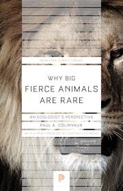 Why Big Fierce Animals Are Rare